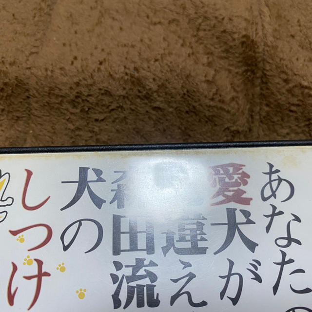 あなたの愛犬が見違えるほどいい子になる 森田流犬のしつけ法 その他のペット用品(犬)の商品写真