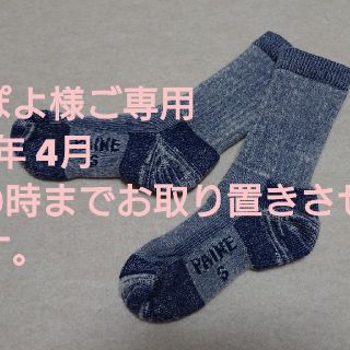 パイネ(PAINE)のパイネ (登山用品)