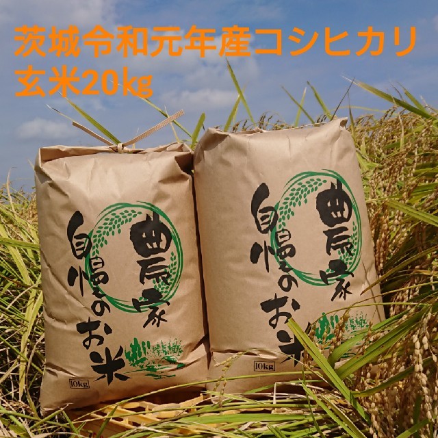 米/穀物茨城令和元年産コシヒカリ玄米20㎏