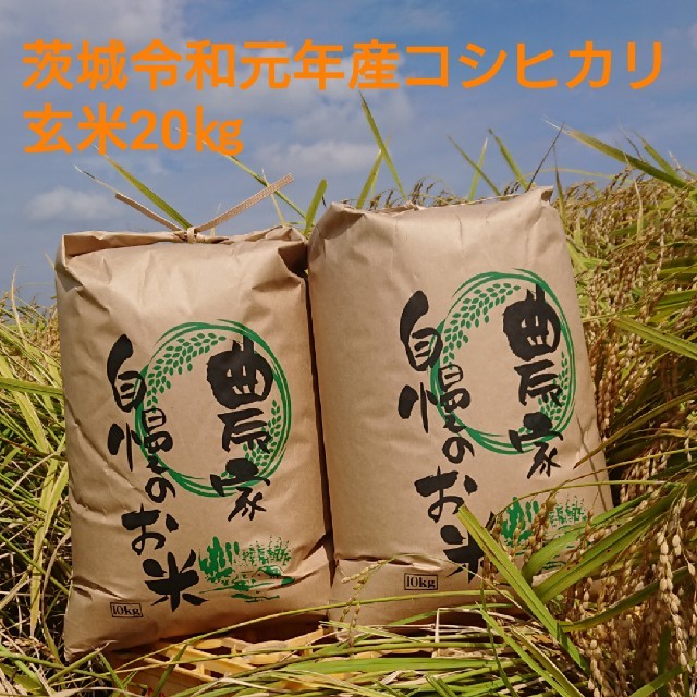 茨城令和元年産コシヒカリ玄米20㎏食品/飲料/酒