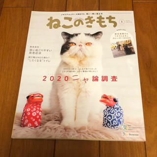 雑誌　ねこのきもち　2020 １月号(専門誌)