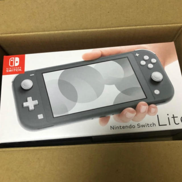 Nintendo Switch Liteグレー スイッチライト グレー