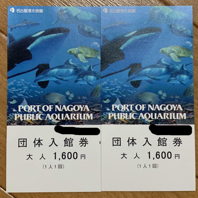 名古屋港水族館☆入館券 チケットの施設利用券(水族館)の商品写真