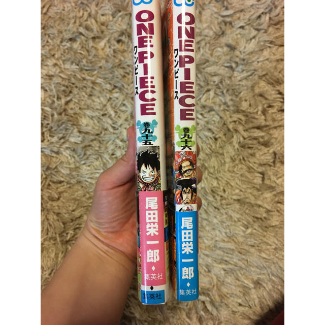 ＯＮＥ　ＰＩＥＣＥ ９５,９６ エンタメ/ホビーの漫画(少年漫画)の商品写真