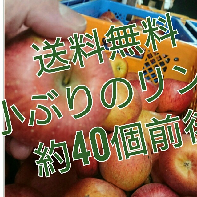 会津産小ぶりの訳ありリンゴ約40個。 食品/飲料/酒の食品(フルーツ)の商品写真