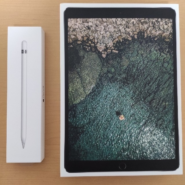 iPad Pro 10.5 simフリー　 Apple Pencilタブレット