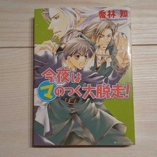 今夜はマのつく大脱走！(文学/小説)