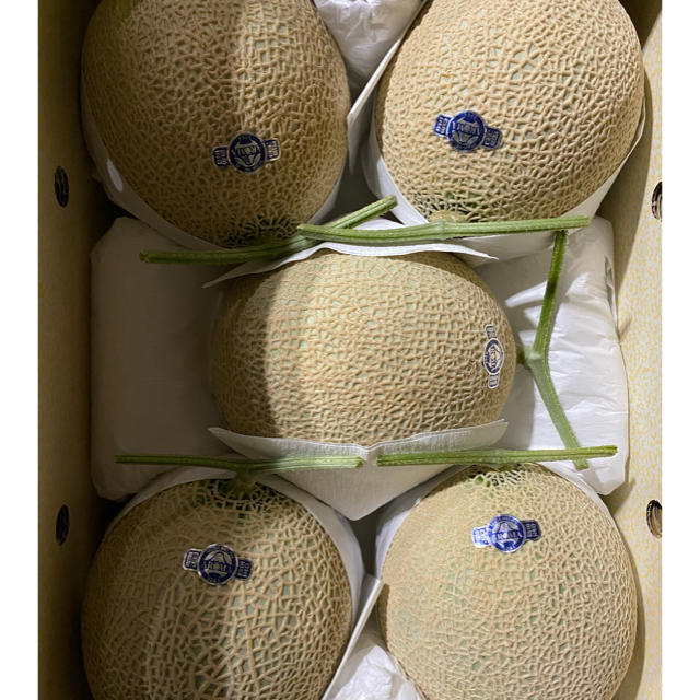 食品静岡　高級アールスメロン　白5玉　隔離栽培　アローマ