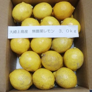 広島県大崎上島産無農薬レモン3.0kg(フルーツ)