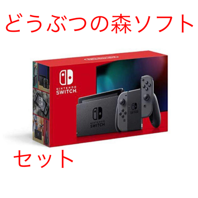 Nintendo Switch 新型 グレー　あつまれ どうぶつの森 セット