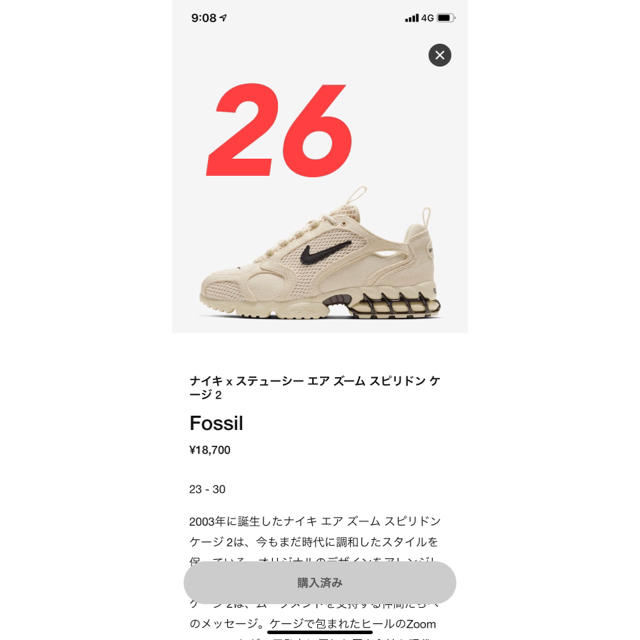 メンズStussy Nike AirZoom Spiridon Cage Fossil