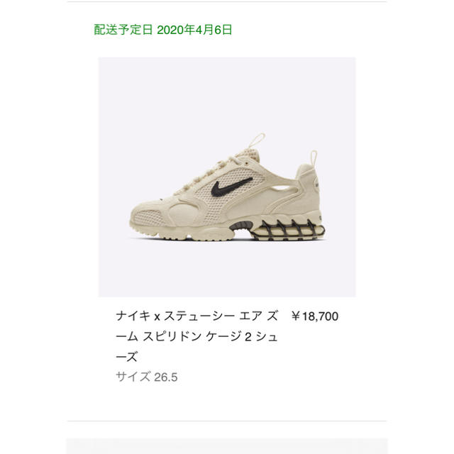 nike stussy FOSSIL ステューシー　ストゥーシー　最安値