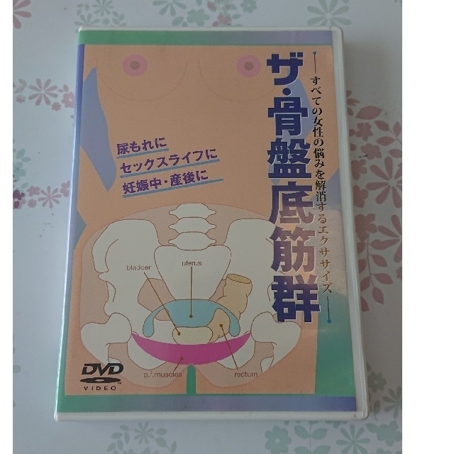 骨盤底筋群 DVD  コスメ/美容のダイエット(エクササイズ用品)の商品写真