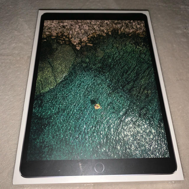芸能人愛用 iPad スペースグレイ 512GB 10.5インチ Pro iPad [新品未