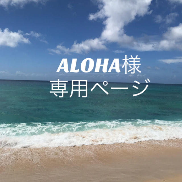 ALOHA様専用ページ ハンドメイドのアクセサリー(リング)の商品写真