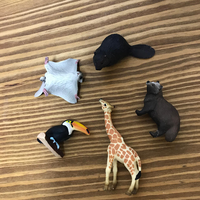 動物　フィギュア　アミューズ品 エンタメ/ホビーのフィギュア(その他)の商品写真