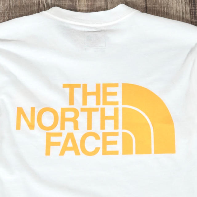 THE NORTH FACE(ザノースフェイス)の◆日本未発売◆NORTH  FACE グラデーション ロングTシャツ/Sサイズ メンズのトップス(Tシャツ/カットソー(七分/長袖))の商品写真