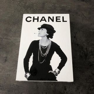 シャネル(CHANEL)のCHANEL シャネル　洋書　写真集　インテリア　サンローラン(洋書)