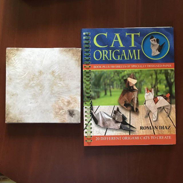 コストコ(コストコ)の洋書 ★ CAT ORIGAMI 折り紙 100枚入 デザイナー 猫 10種 エンタメ/ホビーの本(趣味/スポーツ/実用)の商品写真