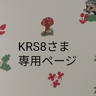 KRS8さま専用ページ(Tシャツ/カットソー)
