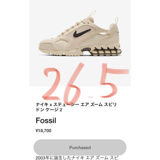 ステューシー(STUSSY)のstussy Nike スニーカー(スニーカー)