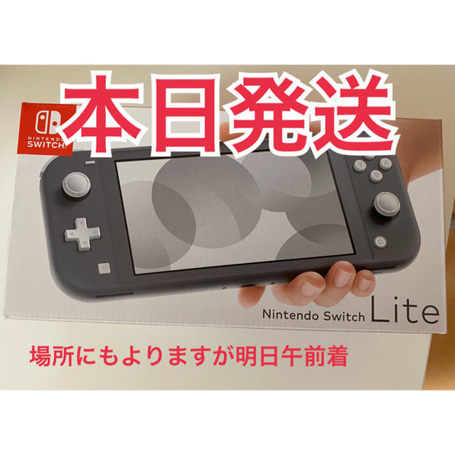 Nintendo Switch Lite グレー