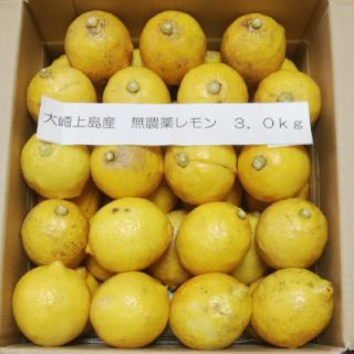 広島県大崎上島産無農薬レモン3.0kg(フルーツ)