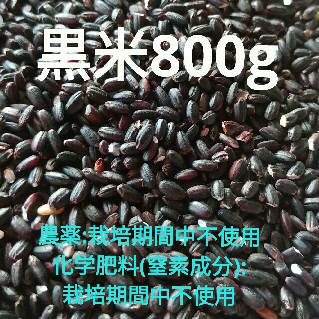 ちゃありー様専用　訳あり☆黒米800g  食品/飲料/酒の食品(米/穀物)の商品写真