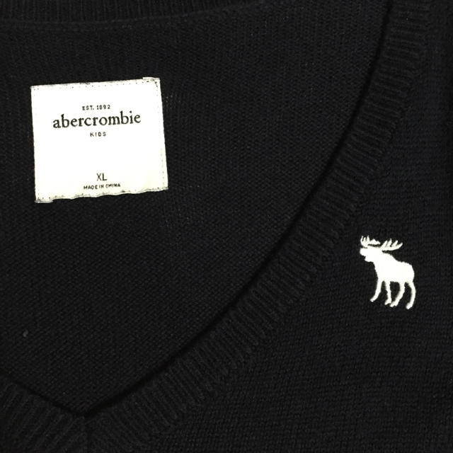 Abercrombie&Fitch(アバクロンビーアンドフィッチ)のアバクロ Vネック ネイビーセーター レディースのトップス(ニット/セーター)の商品写真