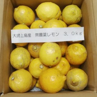 広島県大崎上島産無農薬レモン3.0kg(フルーツ)