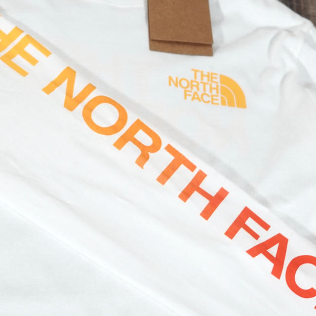 THE NORTH FACE(ザノースフェイス)の◆日本未発売◆NORTH  FACE グラデーション ロングTシャツ/Mサイズ メンズのトップス(Tシャツ/カットソー(七分/長袖))の商品写真