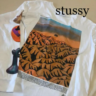 ステューシー(STUSSY)のstussy ステューシー　ロンt  プリント　派手　ロゴ入り(Tシャツ/カットソー(七分/長袖))