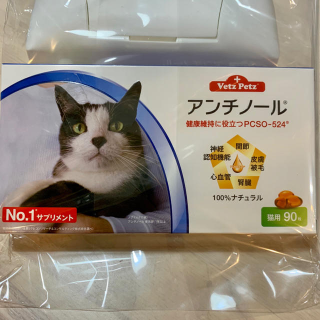 アンチノール　猫用　90粒 その他のペット用品(猫)の商品写真