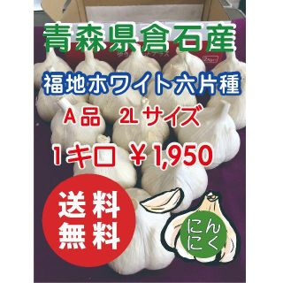 【A品2L】青森県倉石産にんにく福地ホワイト六片種2キロ(野菜)