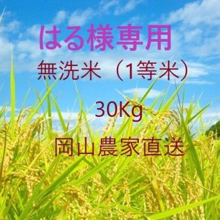 【無洗米】あきたこまち３０kg(米/穀物)