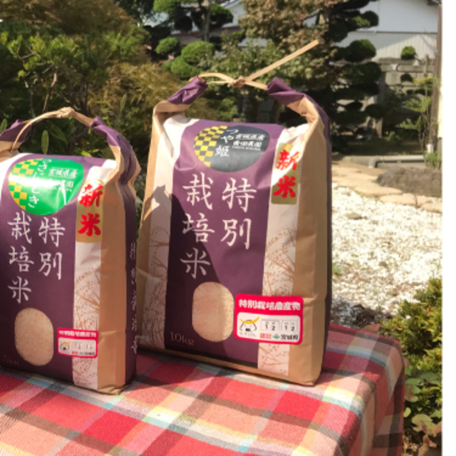 コロナ応援キャンペーン！！新ブランド米☆宮城県産だて正夢10キロ