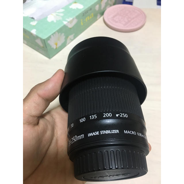 キャノン EF-S55-250mm F4-5.6 IS STM 送料無料-