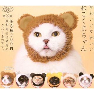 かわいいかわいい ねこくまちゃん 6種セット(猫)