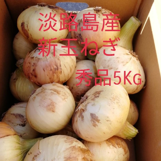 数量限定!!淡路島産新玉ねぎ　秀品5Kg 食品/飲料/酒の食品(野菜)の商品写真