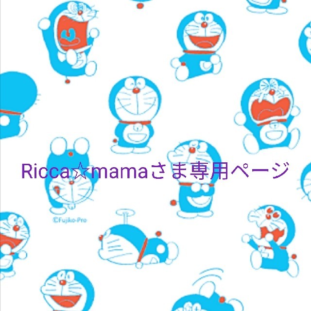 Ricca☆mamaさま専用ページ その他のその他(その他)の商品写真