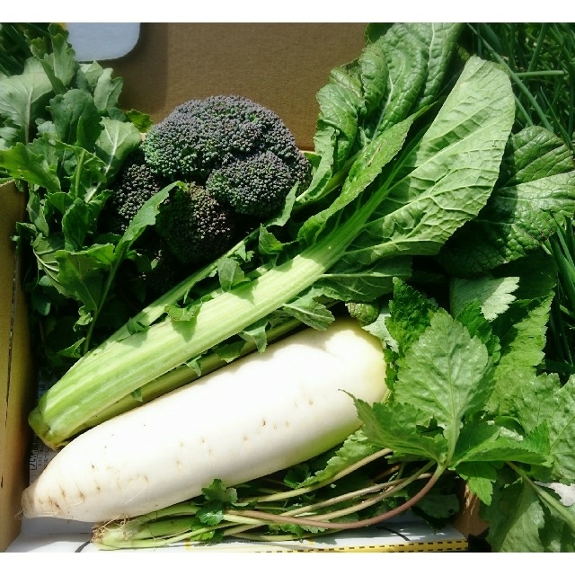 「piiko6280様専用❗」無農薬新鮮野菜セット(M)  五島列島産 食品/飲料/酒の食品(野菜)の商品写真