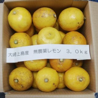 広島県大崎上島産無農薬レモン3.0kg(フルーツ)