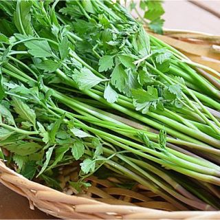 山形庄内鳥海山麓　清流厳選野セリ200g(野菜)