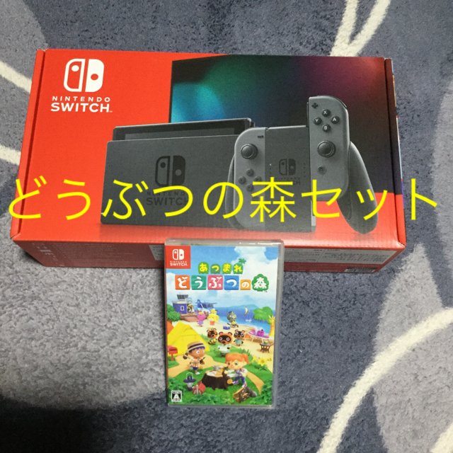 任天堂Switchとどうぶつの森ソフト　セット