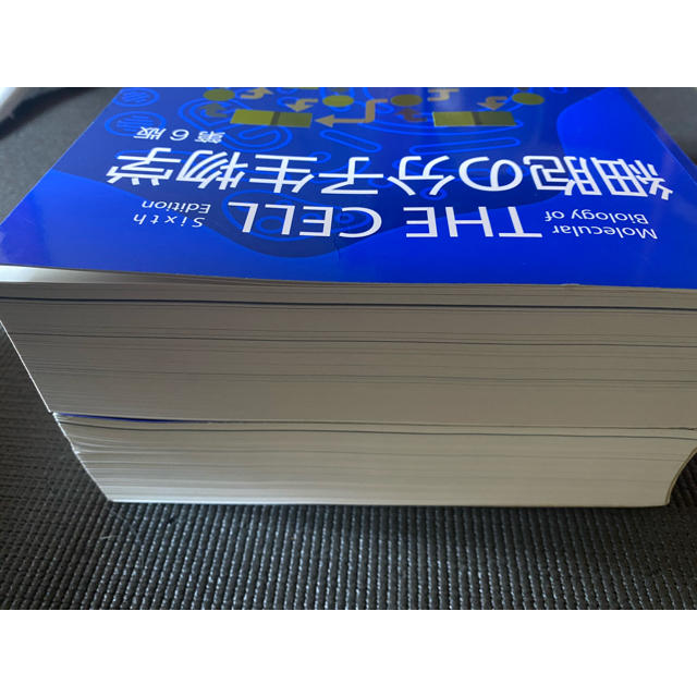 細胞の分子生物学 第6版 日本語版と英語版のセット