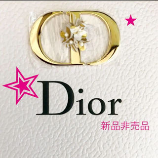 クリスチャンディオール(Christian Dior)の新品非売品★Dior★ディオール チャーム ロゴ˚✧₊⁎⁺˳✧༚(各種パーツ)