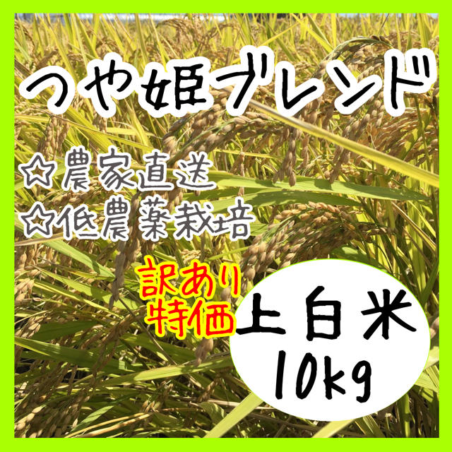 即購入OK♪ 【農家直送】つや姫ブレンド上白米10キロ【送料無料】お米