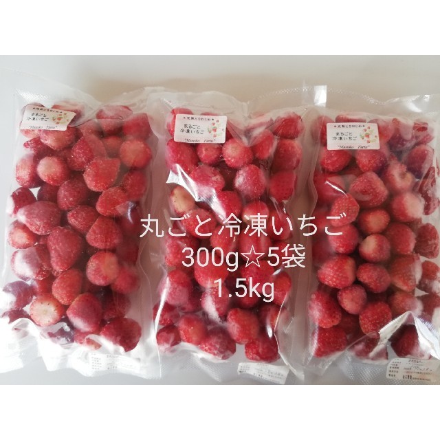 Masuko Farm★完熟とちおとめ★丸ごと冷凍いちご★1.5kg 食品/飲料/酒の食品(フルーツ)の商品写真