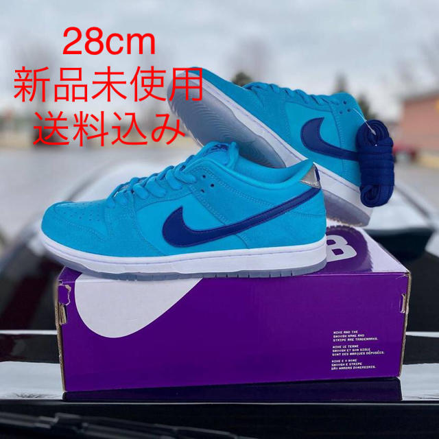 Nike sb dunk low pro blue fury 28cm