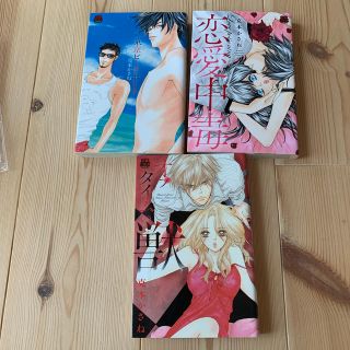 アキタショテン(秋田書店)のみぽりん様　東京ビ－チボ－イ　克本かさね　合計3冊(女性漫画)